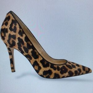 Leopard Print Pointed Toe Stiletto Pump - Brown/Black